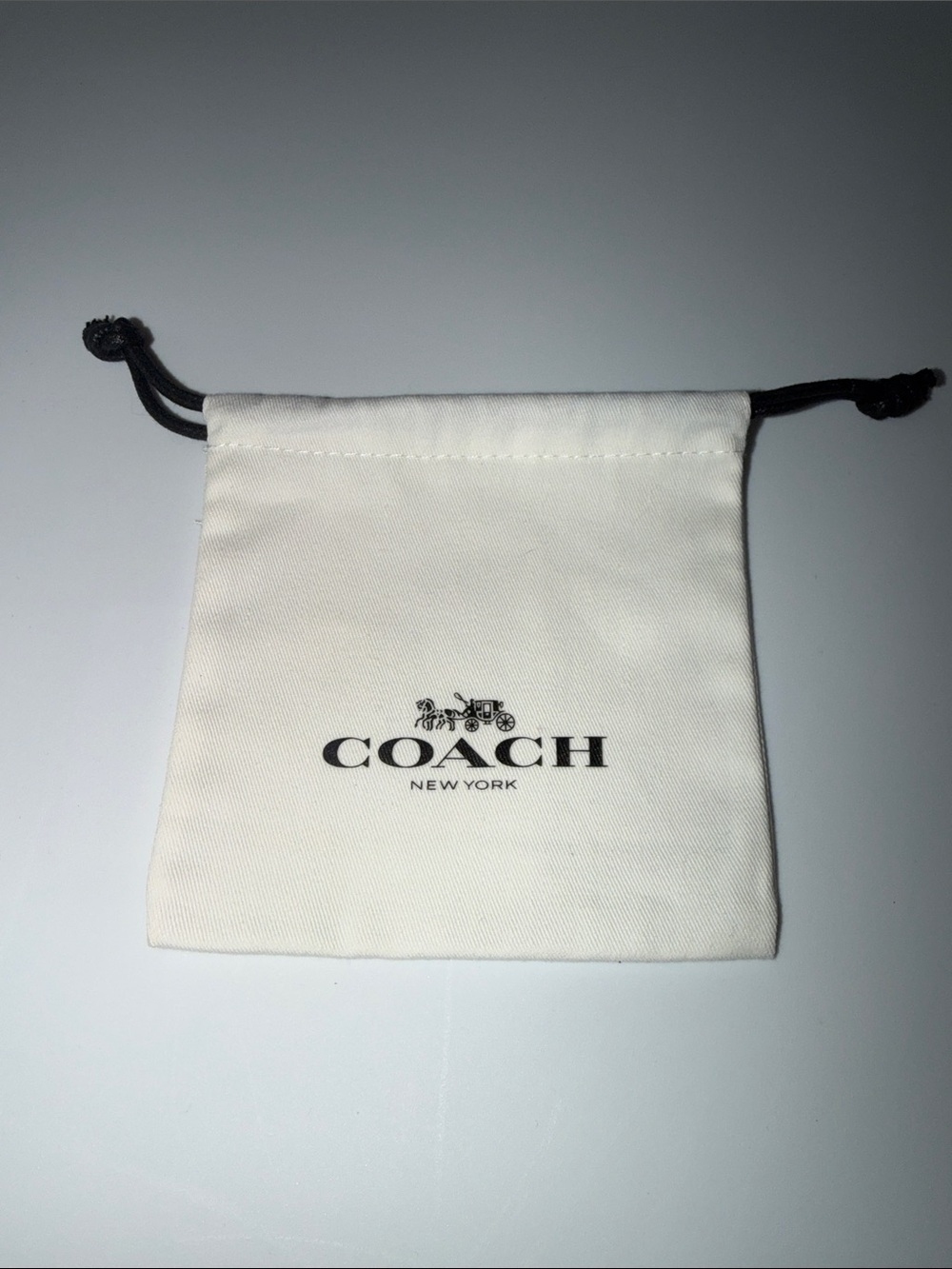 Coach Jewelry Dust Bag